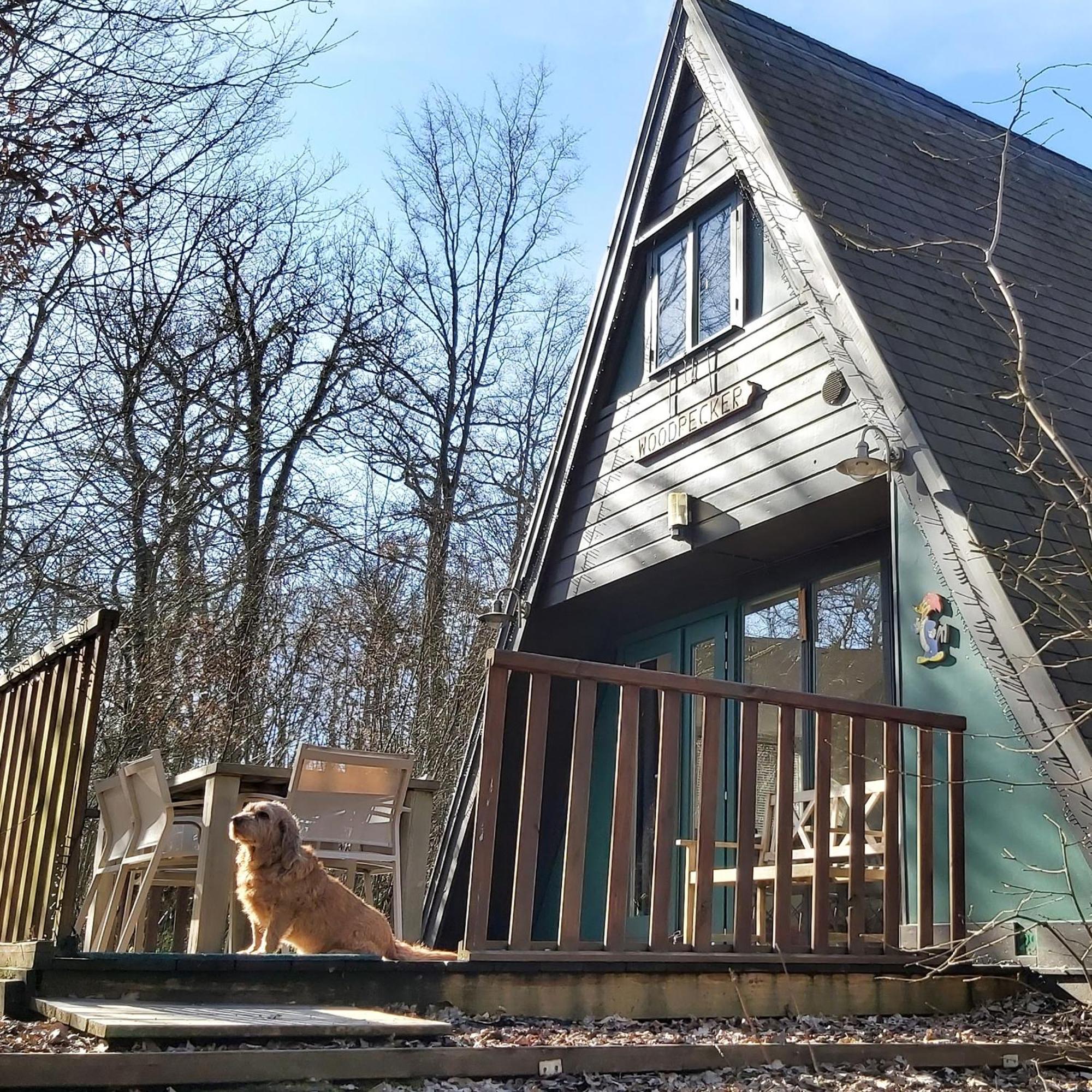 Woodpecker - Bungalow 29 Durbuy Exterior photo